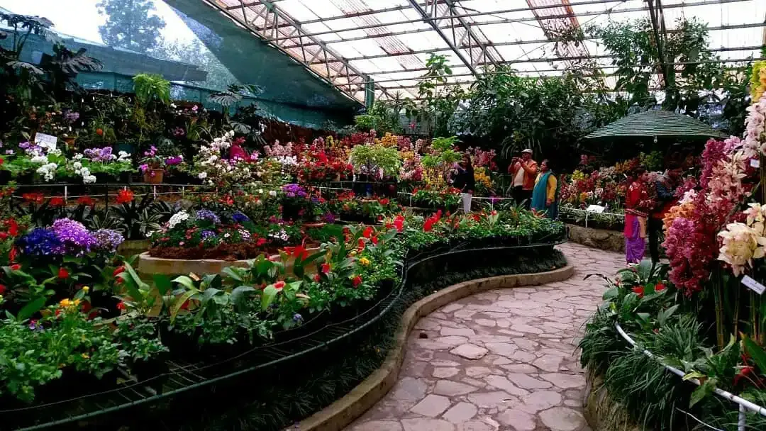 flower show orchid house gangtok city sigfhtseeing