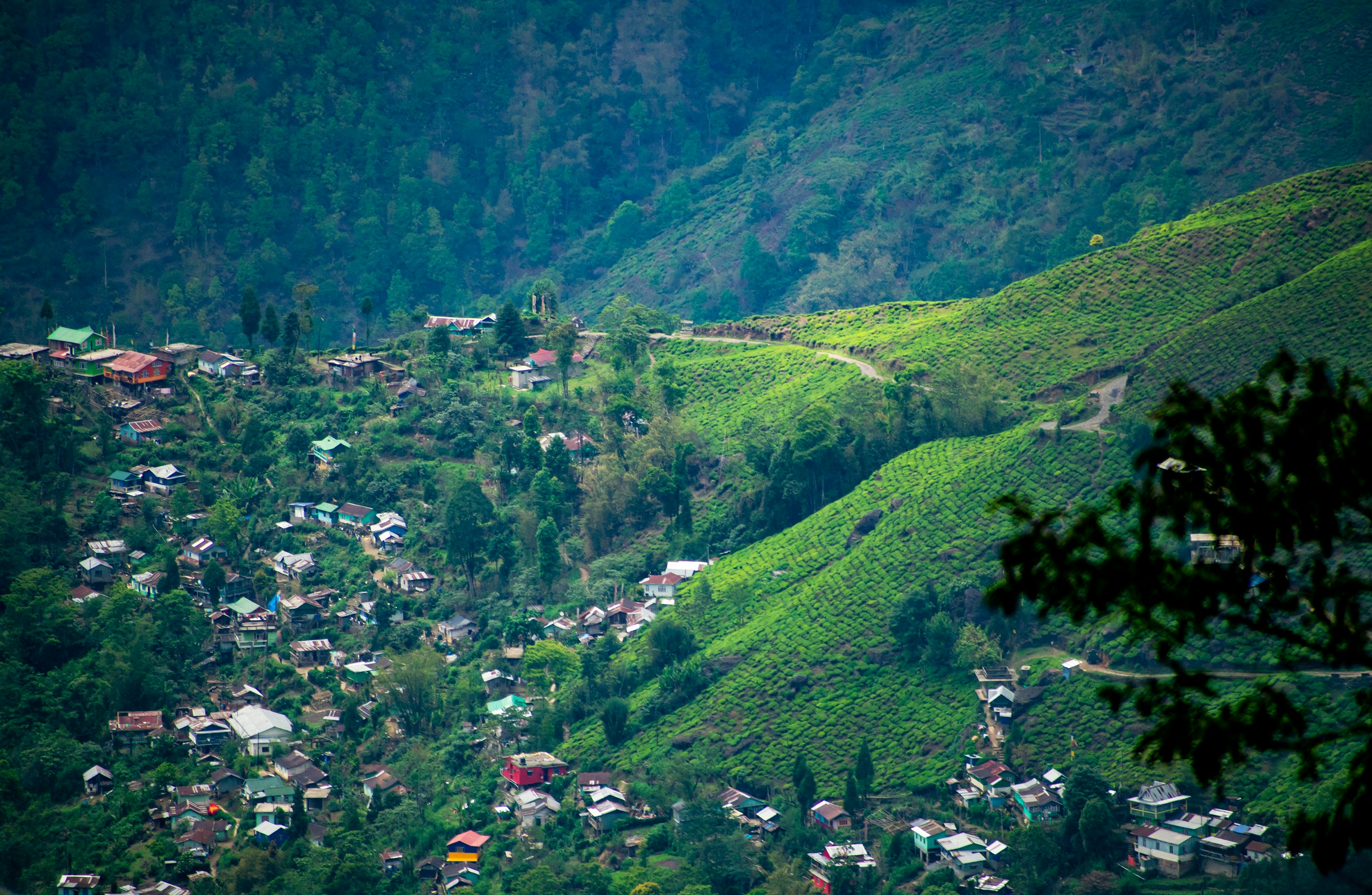 Departure from Darjeeling - Gangtok, Lachen, Lachung &amp; Darjeeling Tour - 7 Nights 8 Days