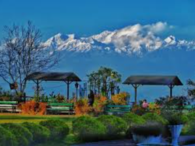 Nightingale Park - Darjeeling's Garden of Calm