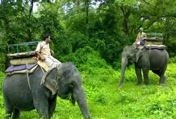 Jaldapara Wildlife Sanctuary