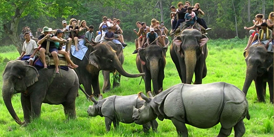 Pobitora Wildlife Sanctuary Trip - 3 Nights 4 Days Guwahati Tour Package with Sightseeing &amp; River Cruise
