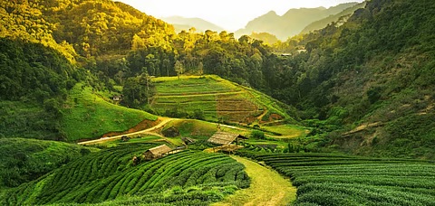 3 Nights 4 Days Guwahati Tour Package with Sightseeing & River Cruise